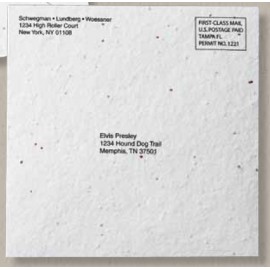 Promotional 6"x6" Folded Self Mailer Envelope