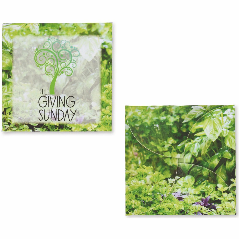 "Say it with Seeds" Herbs Envelope w/ Seed Packet with Logo