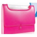 Neon Hot Pink Expanding File Logo Printed
