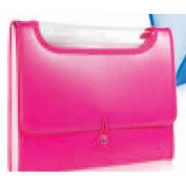 Neon Hot Pink Expanding File with Logo  Neon Hot Pink Expanding File with Logo