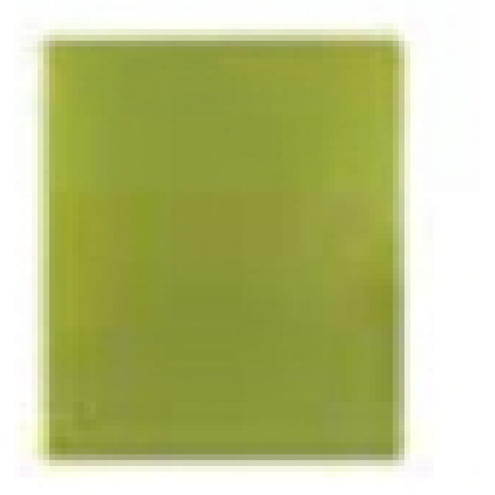 Green Oath Green 2 Pocket Port Folder Logo Printed Green Oath Green 2 Pocket Port Folder Logo Printed