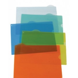 Assorted View Folder with Tab with Logo