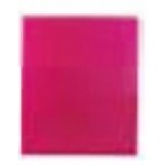 Green Oath Hot Pink 2 Pocket Port Folder Branded