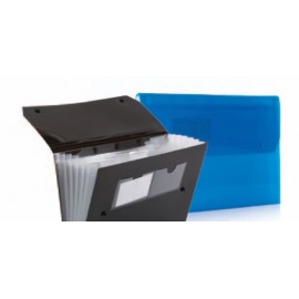 Promotional Assorted Translucent Expanding File  Promotional Assorted Translucent Expanding File