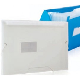 Personalized Assorted Pack Translucent Letter Size Expanding File