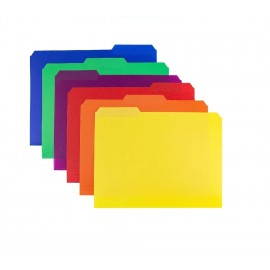 Custom Plastic Colored File Folders - (6 Pack)