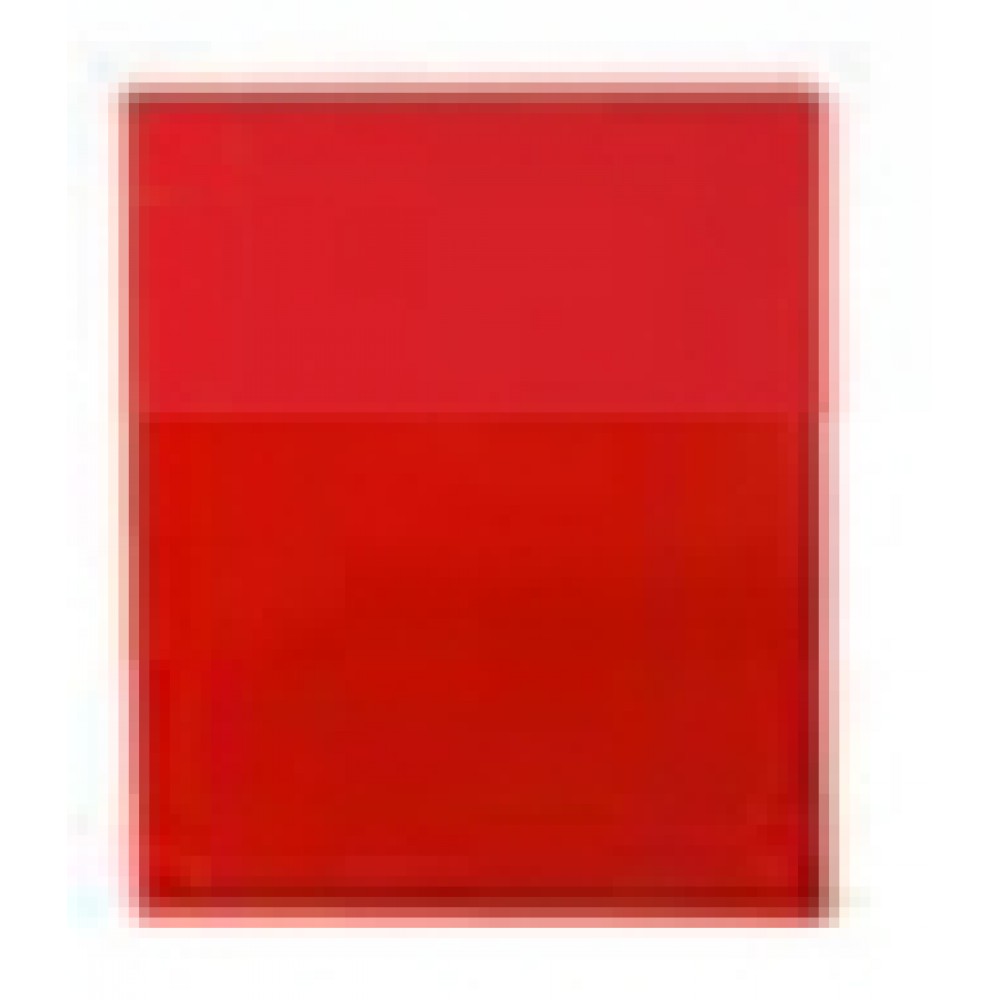 Logo Printed Red 2 Pocket Port Folder Logo Printed Red 2 Pocket Port Folder