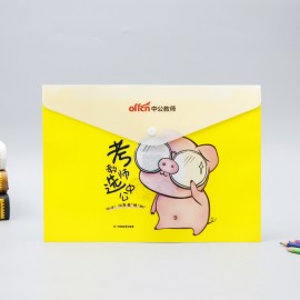 Letter-Size Full Color Printed Document Envelope with Logo