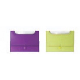 Assorted Pack Neon Expanding File with Logo