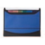 Custom Imprinted Blue Window Expanding File