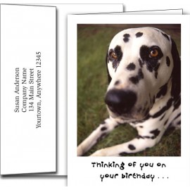 Logo Branded Birthday Greeting Cards w/Imprinted Envelopes  Logo Branded Birthday Greeting Cards w/Imprinted Envelopes