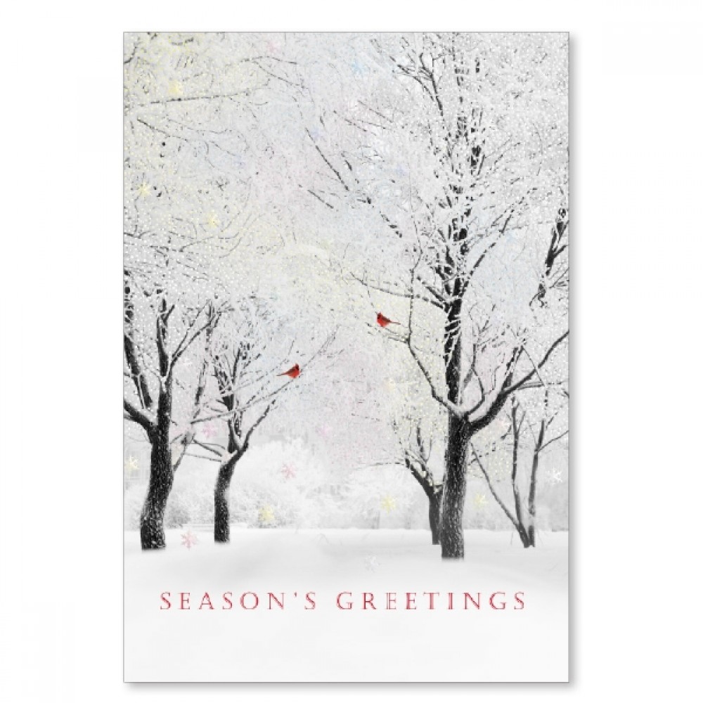 Personalized White Forest Holiday Card