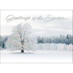Serene Winter Greetings Logo Printed