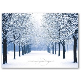 Winter's Path Holiday Card with Logo  Winter