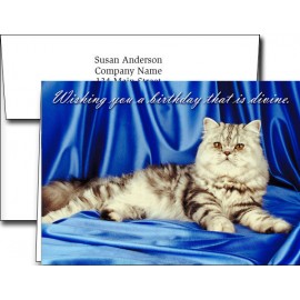 Customized Birthday Greeting Cards w/Imprinted Envelopes