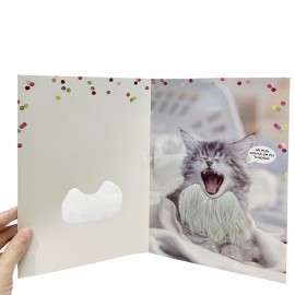 Customized Full Color Total Customized Greeting Card With Touch And Change Sound Function  Customized Full Color Total Customized Greeting Card With Touch And Change Sound Function