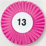 Contestant Numbers with Logo