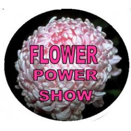 Custom 2 1/4" Diameter Custom Printed Button - Mirror  Custom 2 1/4" Diameter Custom Printed Button - Mirror