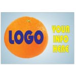 Logo Printed Orange Badge/Button w/ Metal Bar Pin (2 1/2"x3 1/2")
