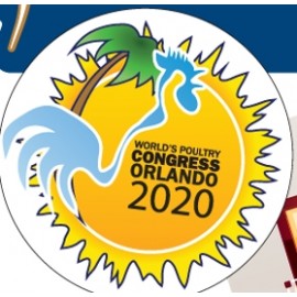 Logo Printed Custom Plastic Badge (2 to 4 Square Inch)