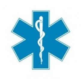 Logo Printed Caduceus Cross Lapel Pin  Logo Printed Caduceus Cross Lapel Pin