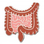 Branded Human Intestines Pin