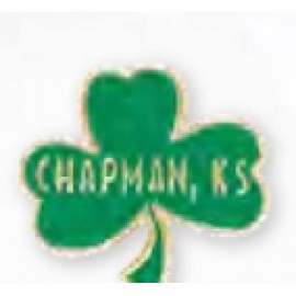 Customized Custom Soft Iron Enamel Lapel Pin (1")