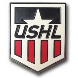 7/8" Steel Enhanced Cloisonne Lapel Pin with Logo