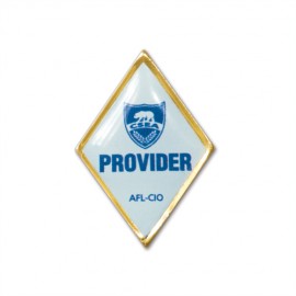 Logo Printed Diamond Printed Stock Lapel Pin