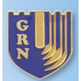 1" Steel Enamel Lapel Pin with Logo