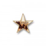 Star Printed Stock Lapel Pin Logo Printed