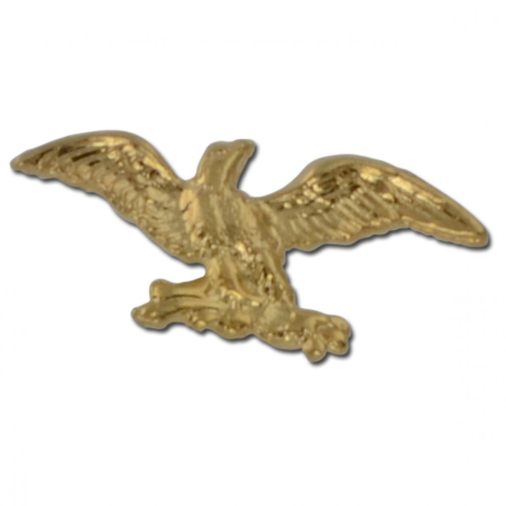 Customized Eagle Lapel Pin