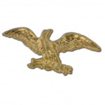 Customized Eagle Lapel Pin