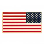 Stars Forward American Flag Pin with Logo
