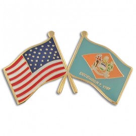 Delaware & USA Flag Pin with Logo