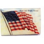 Wavy American Flag Stock Pin with Logo
