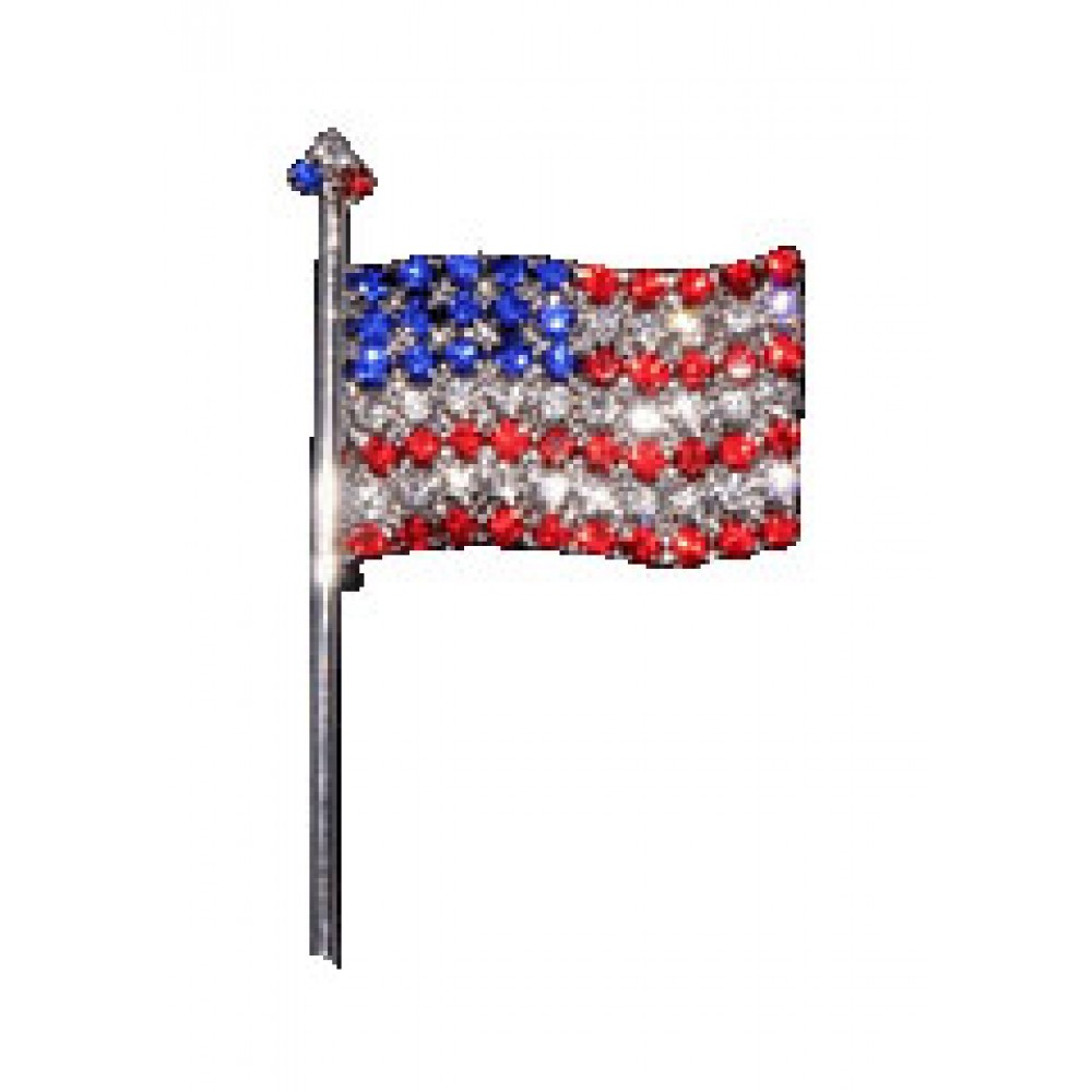 USA Flag Rhinestone Pin with Logo