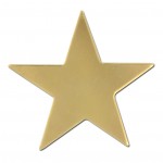 Flat Star Lapel Pin with Logo