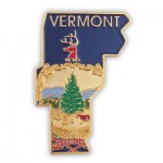 Logo Branded Vermont State Pin