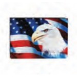 American Flag w/Eagle Stock Pin with Logo