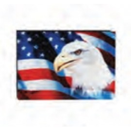 American Flag w/Eagle Stock Pin with Logo