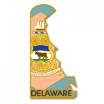 Logo Branded Delaware State Pin