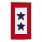Blue 2 Stars Service Flag Pin with Logo