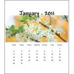 Logo Printed 2023 Desk Jewel Case Calendar - Floral Delight