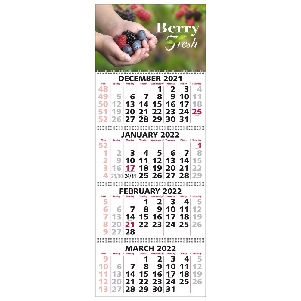 4 Month 5 Panel Calendar Custom Printed