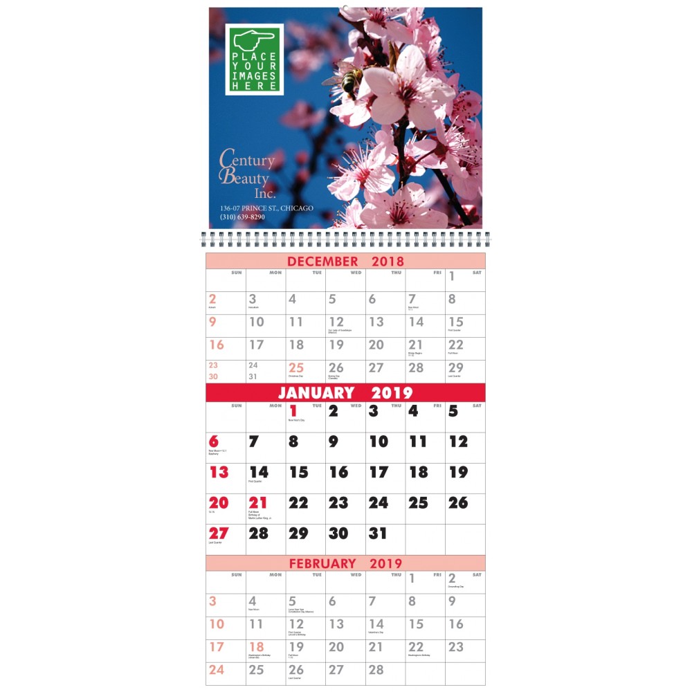 Custom 3-Month Appointment Wall Calendar Custom Printed