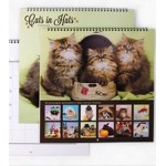 Full-Color Wall Calendar - 6 Month, on 100lb. Gloss Text paper stock Custom Printed