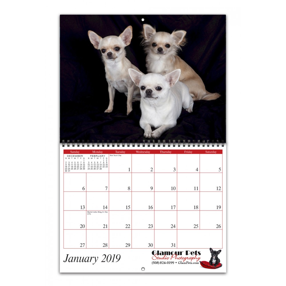 Personalized Promote.Pet Reflections Wire-bound 12-Month/13-Photo Wall Calendar