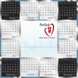 Logo Printed Chrome Mylar Year-at-a-Glance Wall Calendar  Logo Printed Chrome Mylar Year-at-a-Glance Wall Calendar