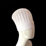 Logo Embroidered Disposable Chef Hat